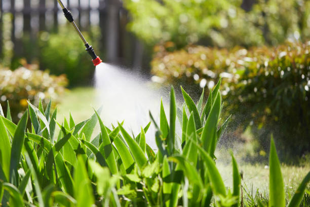 24/7 Emergency Mosquito Control experts in Sweetser, IN